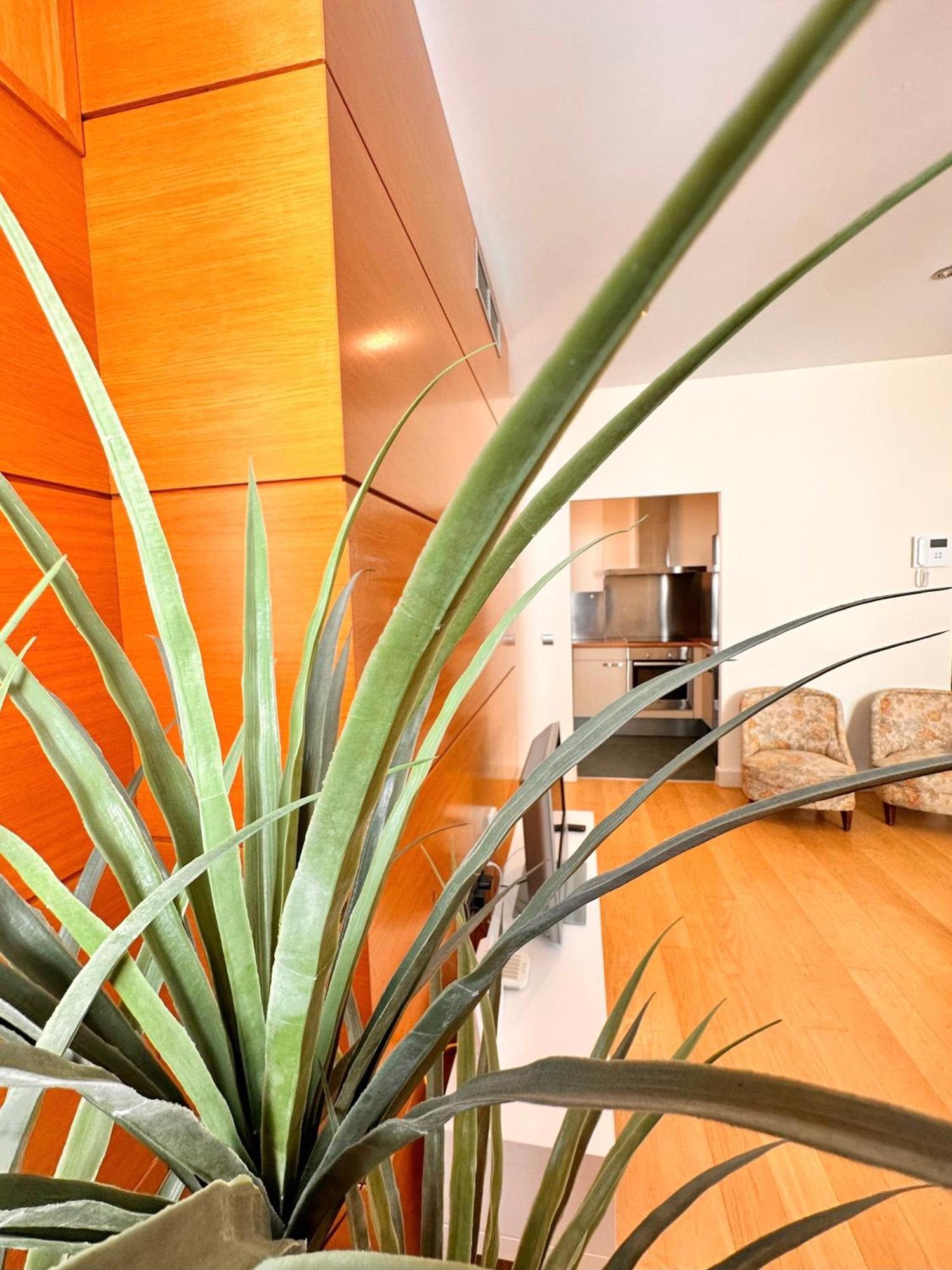 Penthouse Near Cathedral Private Rooftop Private Parking Sevilla Bagian luar foto